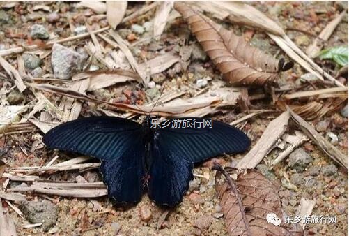 <a href=http://www.lexiangyou.org/xiangcunlvyou/ target=_blank class=infotextkey>乡村旅游</a>：新年安康，云游在水库美景之间