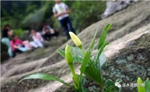 <a href=http://www.lexiangyou.org/xiangcunlvyou/ target=_blank class=infotextkey>乡村旅游</a>：新年安康，云游在水库美景之间