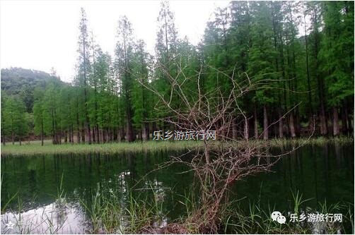 <a href=http://www.lexiangyou.org/xiangcunlvyou/ target=_blank class=infotextkey>乡村旅游</a>：新年安康，云游在水库美景之间