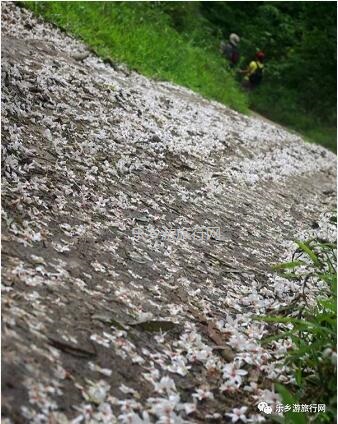 <a href=http://www.lexiangyou.org/xiangcunlvyou/ target=_blank class=infotextkey>乡村旅游</a>：新年安康，云游在水库美景之间