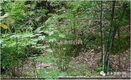 <a href=http://www.lexiangyou.org/xiangcunlvyou/ target=_blank class=infotextkey>乡村旅游</a>：新年安康，云游在水库美景之间