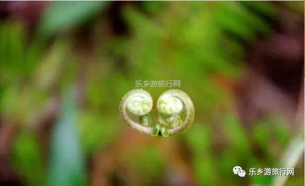 <a href=http://www.lexiangyou.org/xiangcunlvyou/ target=_blank class=infotextkey>乡村旅游</a>：新年安康，云游在水库美景之间