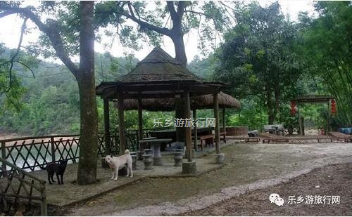 <a href=http://www.lexiangyou.org/xiangcunlvyou/ target=_blank class=infotextkey>乡村旅游</a>：新年安康，云游在水库美景之间