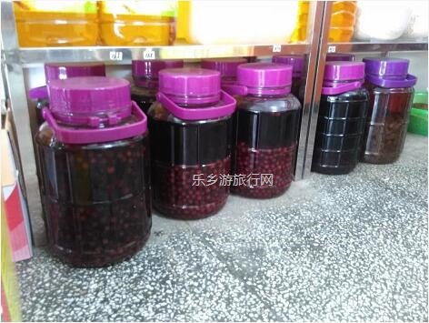 <a href=http://www.lexiangyou.org/xiangcunlvyou/ target=_blank class=infotextkey>乡村旅游</a>：桑果熟了，约上家人采摘游玩