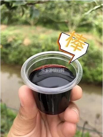 <a href=http://www.lexiangyou.org/xiangcunlvyou/ target=_blank class=infotextkey>乡村旅游</a>：桑果熟了，约上家人采摘游玩