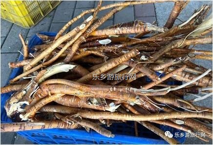 <a href=http://www.lexiangyou.org/xiangcunlvyou/ target=_blank class=infotextkey>乡村旅游</a>：桑果熟了，约上家人采摘游玩