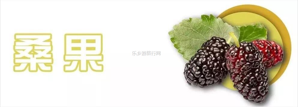 <a href=http://www.lexiangyou.org/xiangcunlvyou/ target=_blank class=infotextkey>乡村旅游</a>：桑果熟了，约上家人采摘游玩