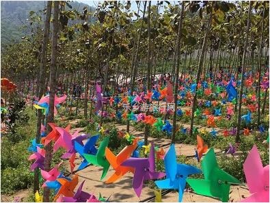 <a href=http://www.lexiangyou.org/xiangcunlvyou/ target=_blank class=infotextkey>乡村旅游</a>：这里盛开了黄花风铃，附近仲有农家美食哦~