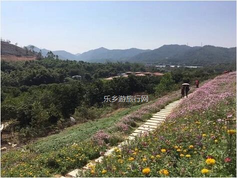 <a href=http://www.lexiangyou.org/xiangcunlvyou/ target=_blank class=infotextkey>乡村旅游</a>：这里盛开了黄花风铃，附近仲有农家美食哦~