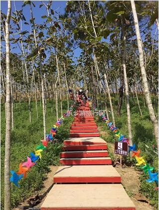 <a href=http://www.lexiangyou.org/xiangcunlvyou/ target=_blank class=infotextkey>乡村旅游</a>：这里盛开了黄花风铃，附近仲有农家美食哦~