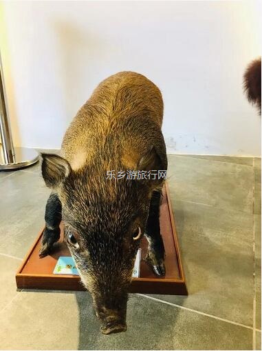 <a href=http://www.lexiangyou.org/xiangcunlvyou/ target=_blank class=infotextkey>乡村旅游</a>：春暖花开，树木繁多的植物园