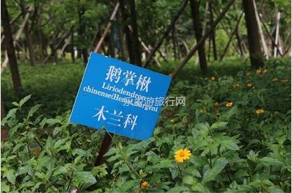 <a href=http://www.lexiangyou.org/xiangcunlvyou/ target=_blank class=infotextkey>乡村旅游</a>：春暖花开，树木繁多的植物园