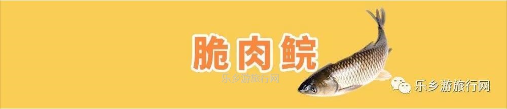 乡村旅行：新鲜脆肉鲩游到！直接优惠送达各位美食家