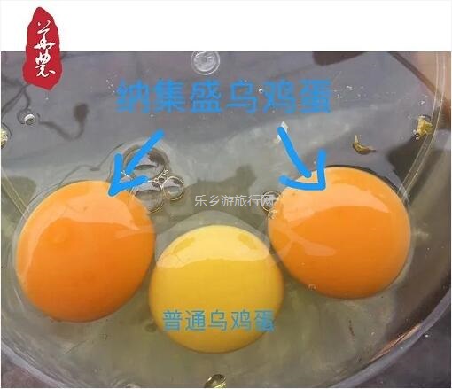 <a href=http://www.lexiangyou.org/xiangcunlvyou/ target=_blank class=infotextkey>乡村旅游</a>：绿壳乌鸡蛋来啦！蛋黄够大，富含微量元素；限时第二箱半价！