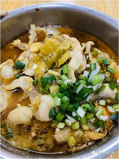 乡村旅行：新鲜脆肉鲩游到！直接优惠送达各位美食家