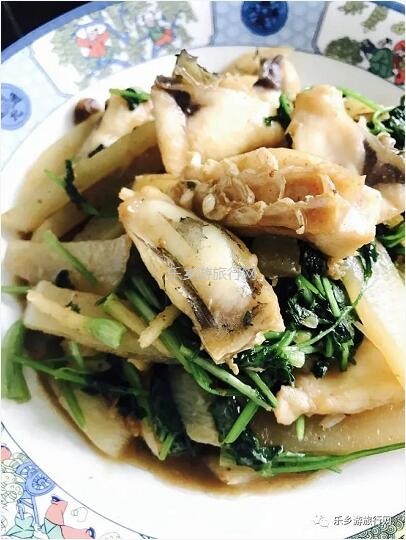 乡村旅行：新鲜脆肉鲩游到！直接优惠送达各位美食家
