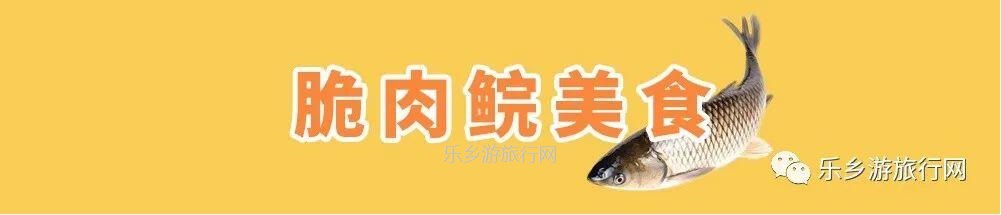 乡村旅行：新鲜脆肉鲩游到！直接优惠送达各位美食家