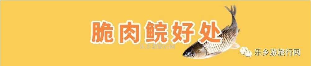 乡村旅行：新鲜脆肉鲩游到！直接优惠送达各位美食家