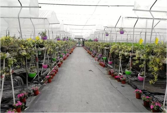 <a href=http://www.lexiangyou.org/xiangcunlvyou/ target=_blank class=infotextkey>乡村旅游</a>：有得玩！参观山泉水种植蔬菜，动手制作酵素，品尝石斛农家菜