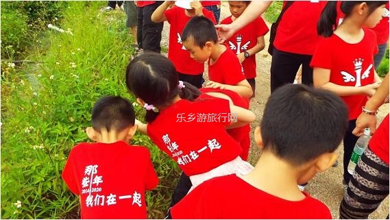 <a href=http://www.lexiangyou.org/xiangcunlvyou/ target=_blank class=infotextkey>乡村旅游</a>：有得玩！参观山泉水种植蔬菜，动手制作酵素，品尝石斛农家菜