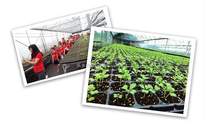<a href=http://www.lexiangyou.org/xiangcunlvyou/ target=_blank class=infotextkey>乡村旅游</a>：有得玩！参观山泉水种植蔬菜，动手制作酵素，品尝石斛农家菜