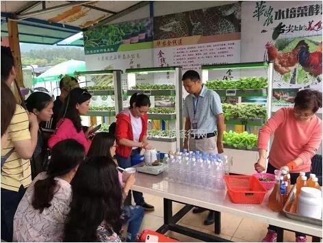 <a href=http://www.lexiangyou.org/xiangcunlvyou/ target=_blank class=infotextkey>乡村旅游</a>：有得玩！参观山泉水种植蔬菜，动手制作酵素，品尝石斛农家菜