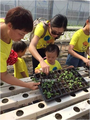 <a href=http://www.lexiangyou.org/xiangcunlvyou/ target=_blank class=infotextkey>乡村旅游</a>：有得玩！参观山泉水种植蔬菜，动手制作酵素，品尝石斛农家菜