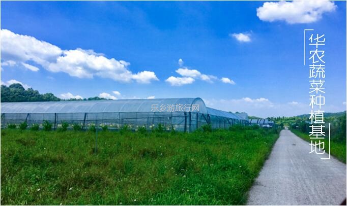 <a href=http://www.lexiangyou.org/xiangcunlvyou/ target=_blank class=infotextkey>乡村旅游</a>：有得玩！参观山泉水种植蔬菜，动手制作酵素，品尝石斛农家菜