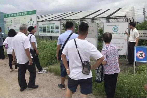 <a href=http://www.lexiangyou.org/xiangcunlvyou/ target=_blank class=infotextkey>乡村旅游</a>：有得玩！参观山泉水种植蔬菜，动手制作酵素，品尝石斛农家菜