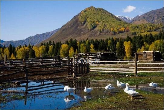 <a href=http://www.lexiangyou.org/xiangcunlvyou/ target=_blank class=infotextkey>乡村旅游</a>：这里日照时间长、昼夜温差大，特别适合水果的生长