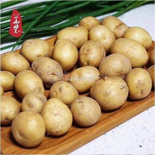 <a href=http://www.lexiangyou.org/xiangcunlvyou/ target=_blank class=infotextkey>乡村旅游</a>：新鲜蔬菜包，优惠益街坊