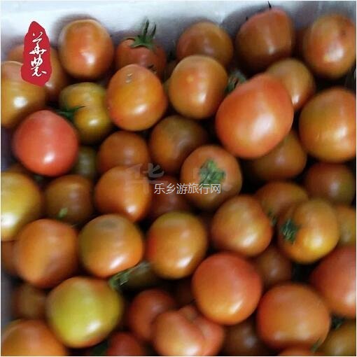 <a href=http://www.lexiangyou.org/xiangcunlvyou/ target=_blank class=infotextkey>乡村旅游</a>：新鲜蔬菜包，优惠益街坊