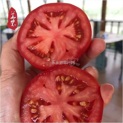 <a href=http://www.lexiangyou.org/xiangcunlvyou/ target=_blank class=infotextkey>乡村旅游</a>：新鲜蔬菜包，优惠益街坊