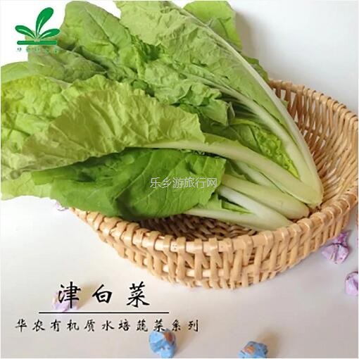 <a href=http://www.lexiangyou.org/xiangcunlvyou/ target=_blank class=infotextkey>乡村旅游</a>：新鲜蔬菜包，优惠益街坊