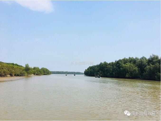 <a href=http://www.lexiangyou.org/xiangcunlvyou/ target=_blank class=infotextkey>乡村旅游</a>：白鹭：翩翩伴春来，我在湿地公园等你~