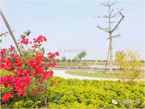 <a href=http://www.lexiangyou.org/xiangcunlvyou/ target=_blank class=infotextkey>乡村旅游</a>：白鹭：翩翩伴春来，我在湿地公园等你~
