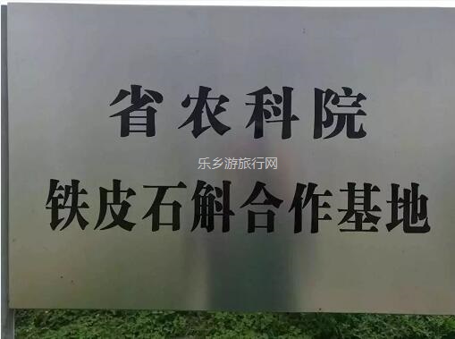<a href=http://www.lexiangyou.org/xiangcunlvyou/ target=_blank class=infotextkey>乡村旅游</a>：原生态种植，提高人体免疫力，被誉为中华九大仙草之首