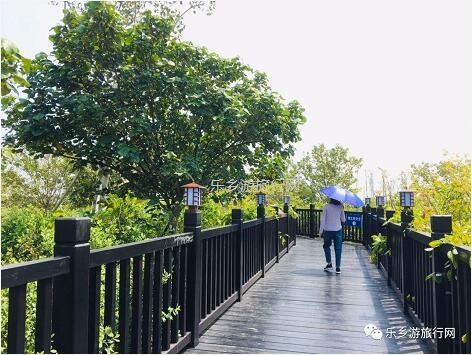 <a href=http://www.lexiangyou.org/xiangcunlvyou/ target=_blank class=infotextkey>乡村旅游</a>：白鹭：翩翩伴春来，我在湿地公园等你~