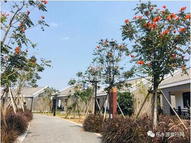 <a href=http://www.lexiangyou.org/xiangcunlvyou/ target=_blank class=infotextkey>乡村旅游</a>：白鹭：翩翩伴春来，我在湿地公园等你~