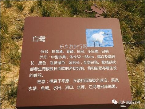 <a href=http://www.lexiangyou.org/xiangcunlvyou/ target=_blank class=infotextkey>乡村旅游</a>：白鹭：翩翩伴春来，我在湿地公园等你~
