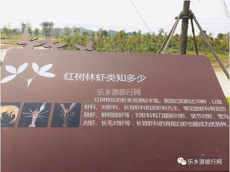 <a href=http://www.lexiangyou.org/xiangcunlvyou/ target=_blank class=infotextkey>乡村旅游</a>：白鹭：翩翩伴春来，我在湿地公园等你~