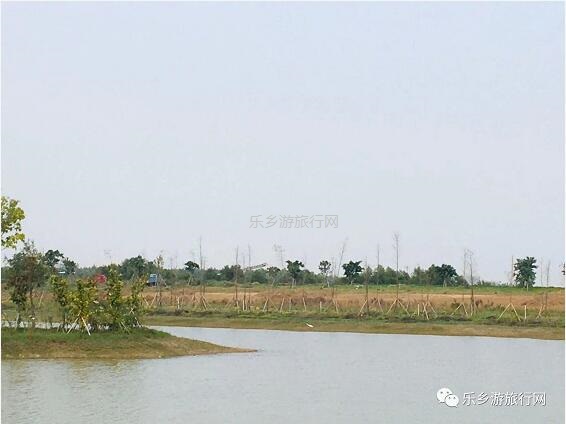 <a href=http://www.lexiangyou.org/xiangcunlvyou/ target=_blank class=infotextkey>乡村旅游</a>：白鹭：翩翩伴春来，我在湿地公园等你~