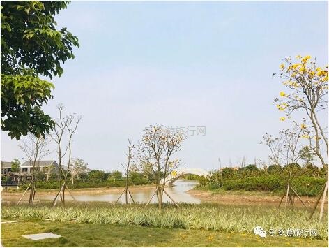 <a href=http://www.lexiangyou.org/xiangcunlvyou/ target=_blank class=infotextkey>乡村旅游</a>：白鹭：翩翩伴春来，我在湿地公园等你~