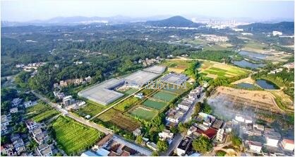 <a href=http://www.lexiangyou.org/xiangcunlvyou/ target=_blank class=infotextkey>乡村旅游</a>：原生态种植，提高人体免疫力，被誉为中华九大仙草之首