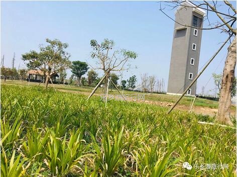 <a href=http://www.lexiangyou.org/xiangcunlvyou/ target=_blank class=infotextkey>乡村旅游</a>：白鹭：翩翩伴春来，我在湿地公园等你~
