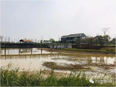 <a href=http://www.lexiangyou.org/xiangcunlvyou/ target=_blank class=infotextkey>乡村旅游</a>：白鹭：翩翩伴春来，我在湿地公园等你~