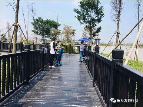<a href=http://www.lexiangyou.org/xiangcunlvyou/ target=_blank class=infotextkey>乡村旅游</a>：白鹭：翩翩伴春来，我在湿地公园等你~