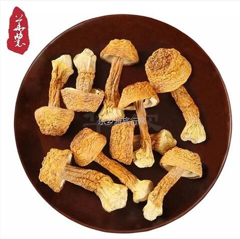 <a href=http://www.lexiangyou.org/xiangcunlvyou/ target=_blank class=infotextkey>乡村旅游</a>：云雾多，风力大，气压低，孕育出健康营养的?菌类植物和谷物