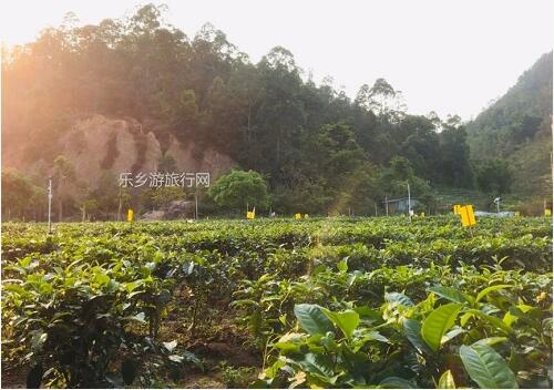 <a href=http://www.lexiangyou.org/xiangcunlvyou/ target=_blank class=infotextkey>乡村旅游</a>：<a href=http://www.lexiangyou.org/xiangcunlvyou/ target=_blank class=infotextkey>乡村旅游</a>：全园畅游，优惠套票进行中...