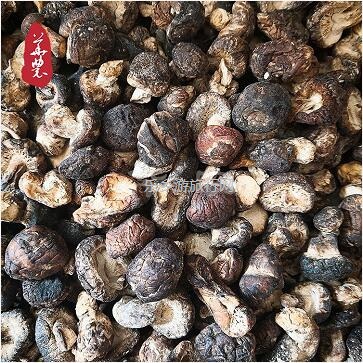 <a href=http://www.lexiangyou.org/xiangcunlvyou/ target=_blank class=infotextkey>乡村旅游</a>：特色<a href=http://www.lexiangyou.org/xiangcunnongchanpin/ target=_blank class=infotextkey>农产品</a>三宝，喜欢吗？